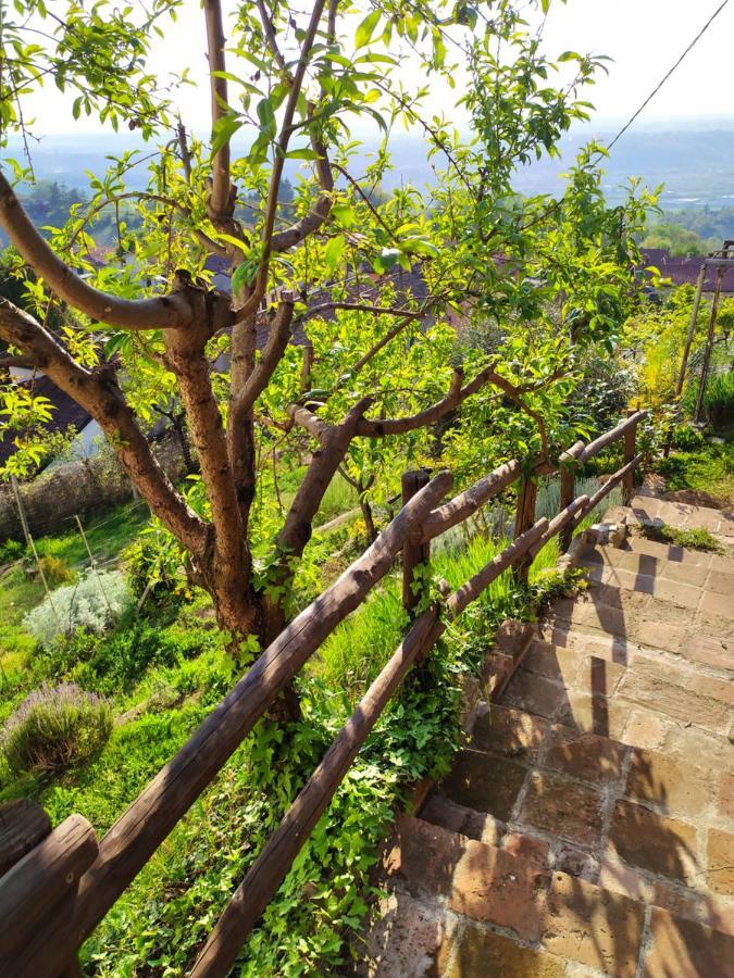 Casa Mantel Holiday Home Panoramic View In Langhe โนเวลโล ภายนอก รูปภาพ